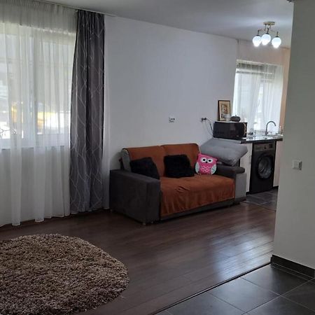 Apartmán Cozy Nest Sinnicoara Exteriér fotografie