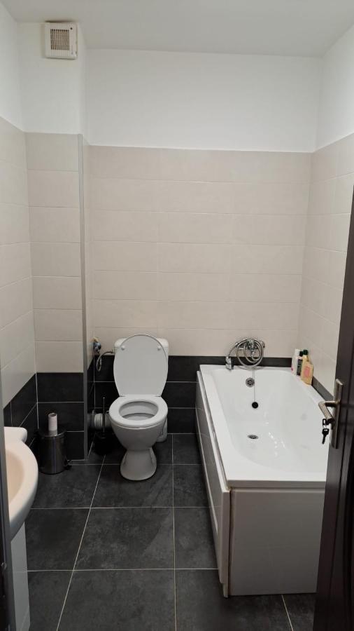 Apartmán Cozy Nest Sinnicoara Exteriér fotografie